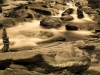 goldenriver